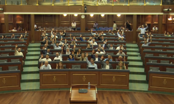 Dejona Mihali i quan deputetët e VV-së të jashtëzakonshëm