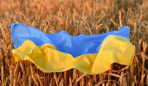 Rusia dhe SHBA-ja diskutojnë ndaras për alternativat e eksportit të drithërave ukrainase