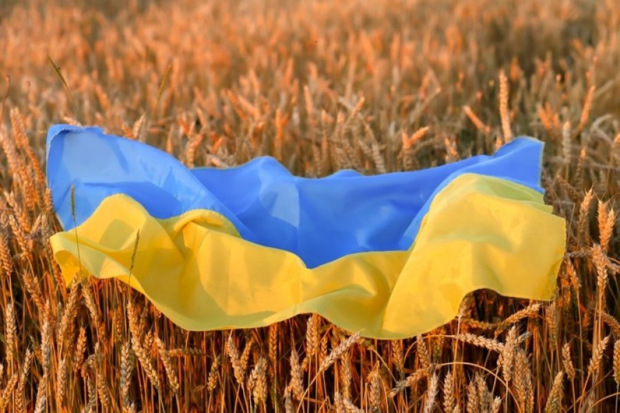 Rusia dhe SHBA-ja diskutojnë ndaras për alternativat e eksportit të drithërave ukrainase