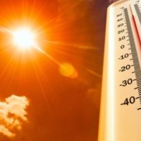 Temperatura në këtë vend shkon në 48.2 gradë