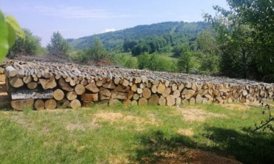Konfiskohen 70 metra kub drunj të kontrabanduar nga Serbia