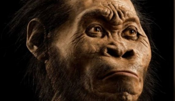 Specia misterioze që ka jetuar në Tokë 100 mijë vite para njerëzve