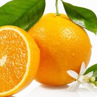 Cili frut ka më shumë lëndë ushqyese: Mandarina apo portokalli?