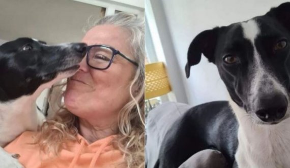55-vjeçarja e zbuloi që ishte me kancer falë qenit