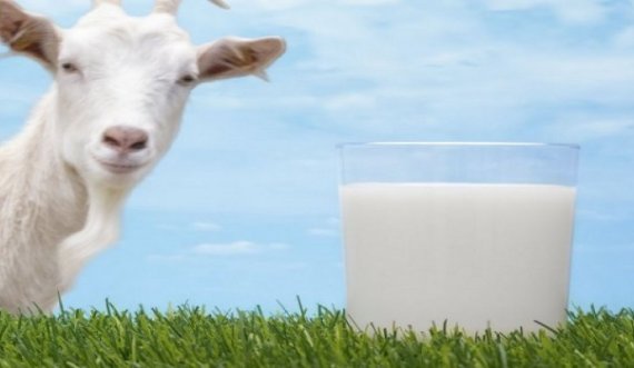 Pse duhet rregullisht ta konsumojmë qumështin e dhisë?
