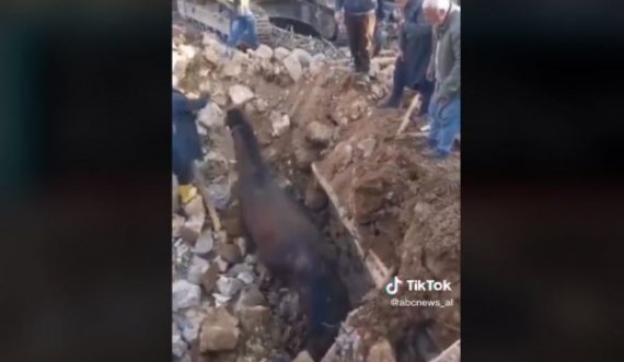 21 ditë në rrënoja, kali del i gjallë nga rrënojat pas tërmetit në Turqi