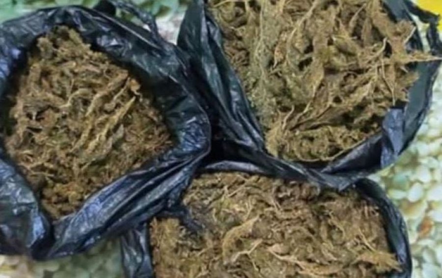 Kapen rreth 6 kg drogë, arrestohen 2 persona