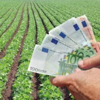 Zgjatet afati për aplikim për subvencione 