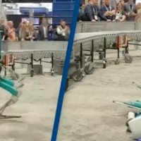 Pas 20 orësh punë në një panair robotit 'i bie të fikët'
