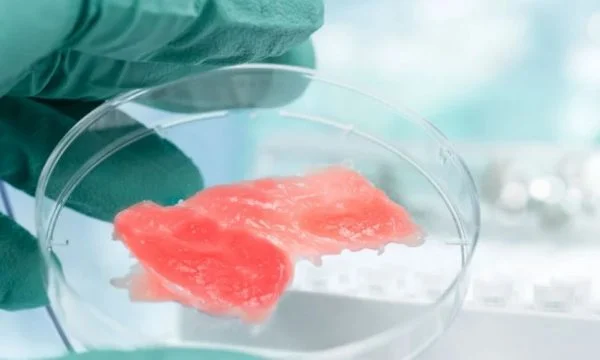 Eksperti i bujqësisë: Mishi i laboratorit është bio, është e njëjta me pulën e fshatit
