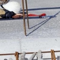 MSH-ja obligon sektorin publik e privat për mbrojtjen e punëtorëve 