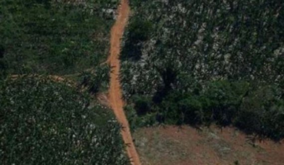 Në xhunglën e Amazonës gjenden pas 17 ditësh 4 fëmijë të gjallë