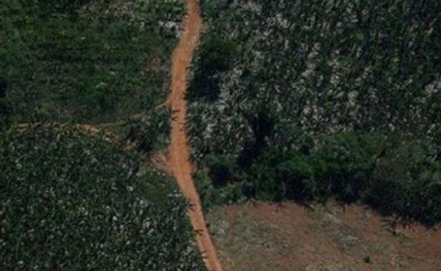 Në xhunglën e Amazonës gjenden pas 17 ditësh 4 fëmijë të gjallë