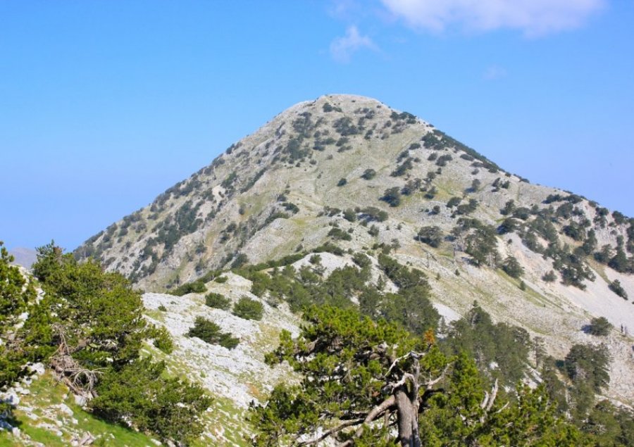 Humbën rrugën në male, gjenden dy turistë anglezë