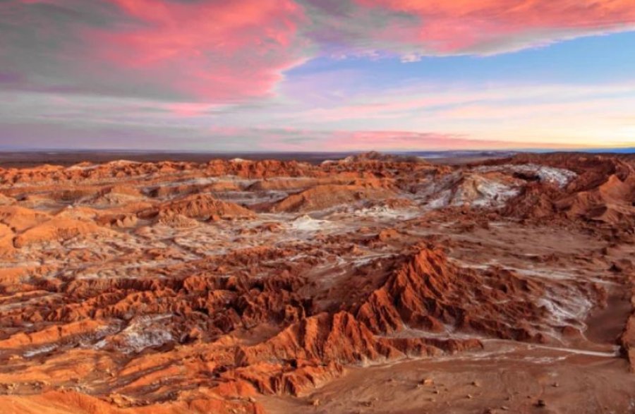 Shkencëtarët të befasuar: Në planetin Mars, në vendin me kushte ekstreme jeton i vetmi gjitar