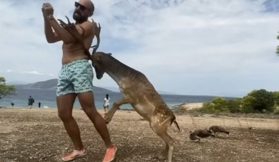 Turisti përfundon me brinjë të thyera pasi tentoi të bëjë ‘selfie’ me drerin