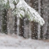 Moti të shtunën do të karakterizohet nga reshje shiu