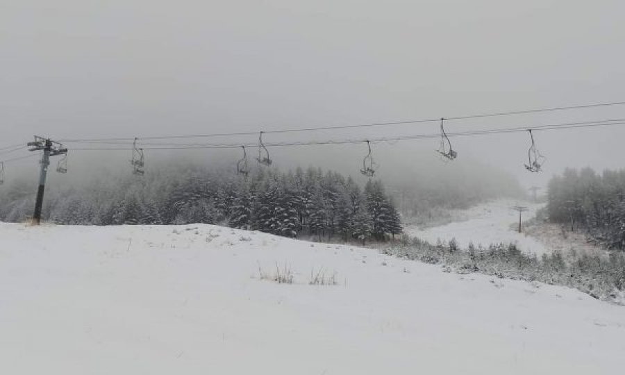 Brezovica mbulohet  nga bora