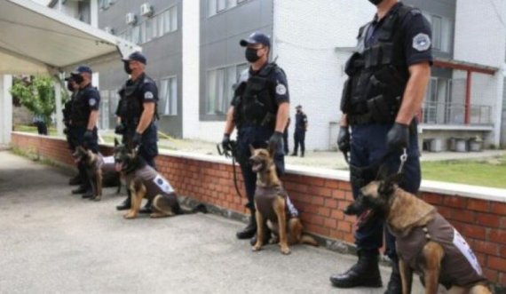 Policia e Kosovës blen tetë qen