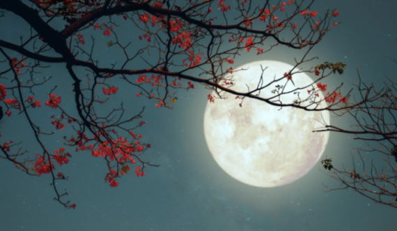 Hëna e plotë te Binjakët: Zbulo se çka do të ndodhë me shenjën tënde
