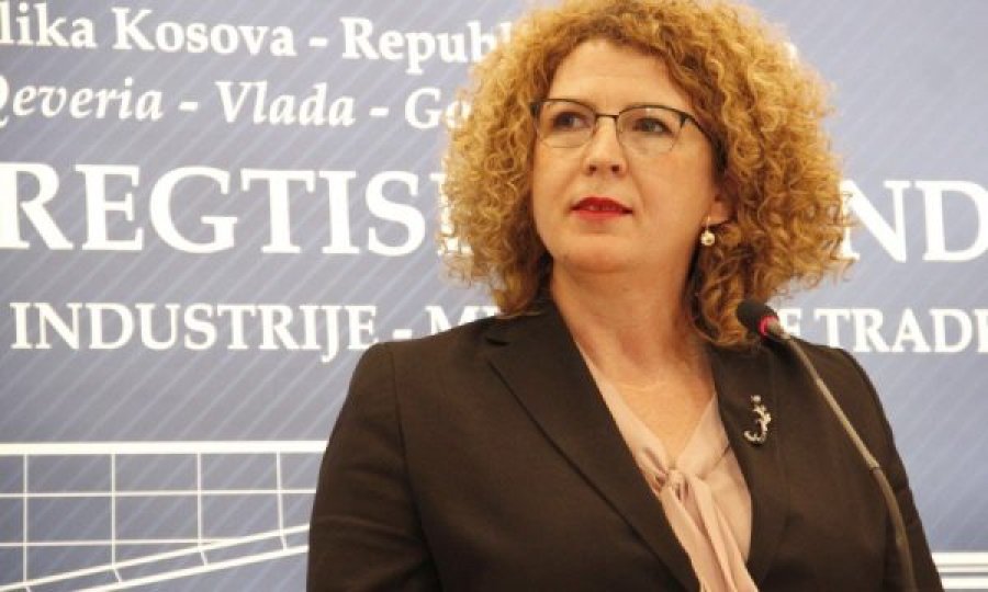 Ekonomisti i njohur kërkon të hetohet ZRrE-ja dhe ministrja Rozeta Hajdari