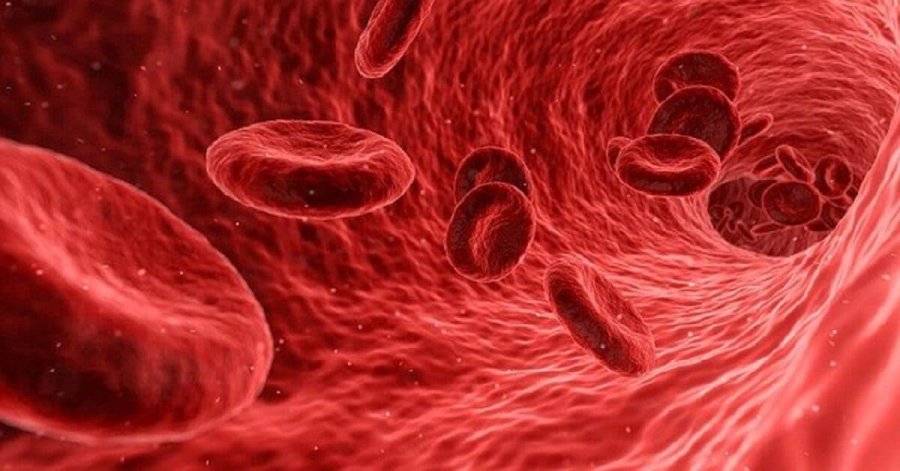 Artikujt që përmirësojnë hemoglobinën: Më nuk do të keni probleme me aneminë