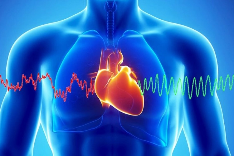 Si e përmirësojnë ushtrimet fizike funksionin e zemrës?