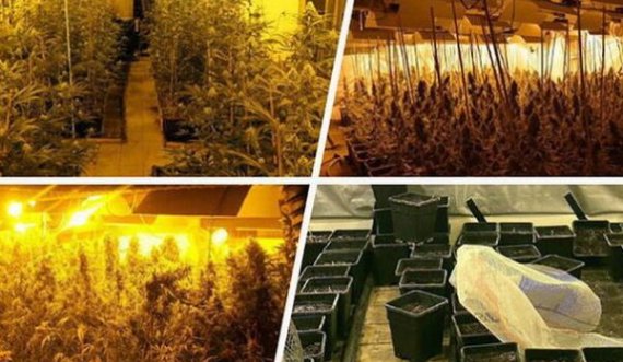 Në Beograd është sekuestruar drogë me vlerë 2 milionë euro