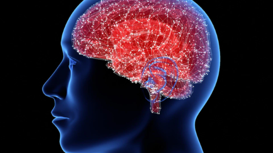 Çfarë janë përforcuesit e trurit?
