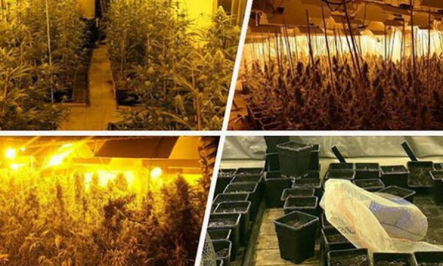 Në Beograd është sekuestruar drogë me vlerë 2 milionë euro