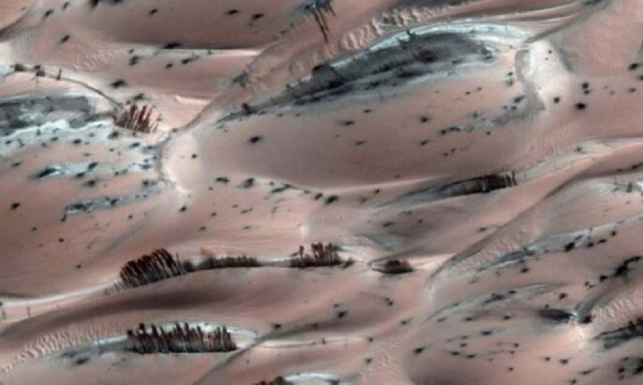 Fenomeni i pazakontë në Mars: Forma që ngjajnë shumë me pemët