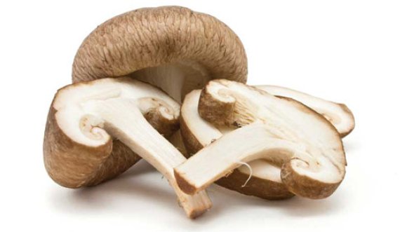 A munden kërpudhat të jenë çelësi për luftimin e mbipeshës?