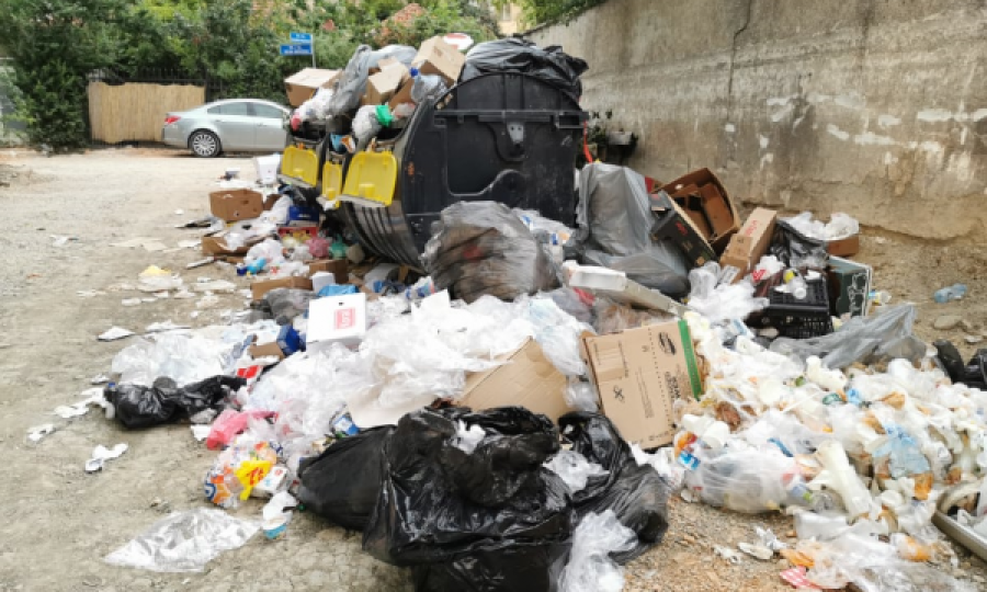 Prishtinë: Gjendet njës asi municioni-fishekë afër një koshi të mbeturinave