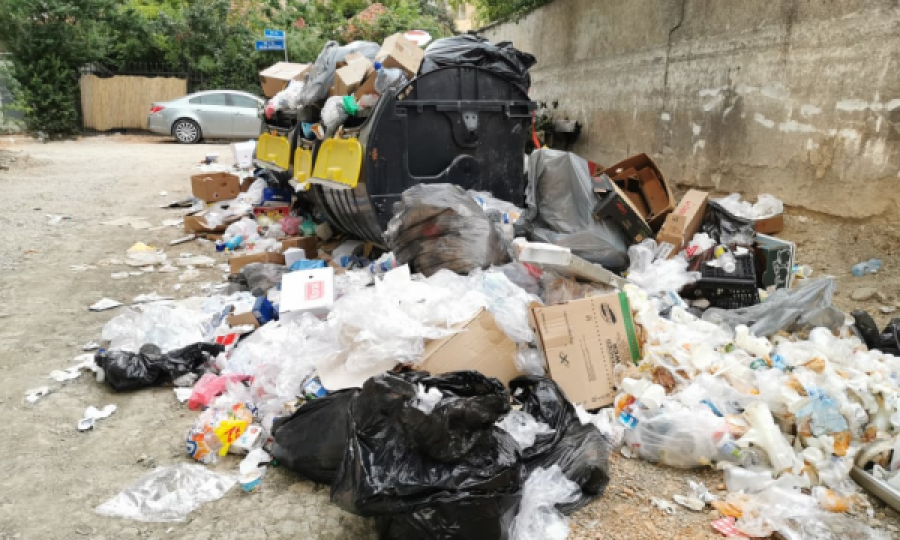 Prishtinë: Gjendet njës asi municioni-fishekë afër një koshi të mbeturinave 