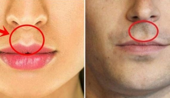 A e keni këtë gropë midis hundës dhe buzës së sipërme? 