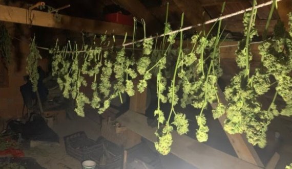 Konfiskohen lëndë narkotike e armë në Prishtinë