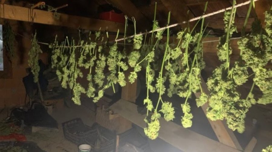 Konfiskohen lëndë narkotike e armë në Prishtinë