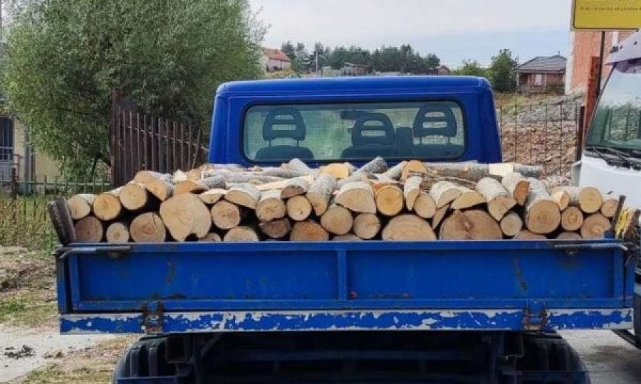 Ndalohen dy kamionë pasi ishin duke transportuar drunjë ilegalisht