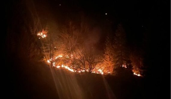 Zjarri ka përfshirë mbrëmë malet në Rugovë të Pejës