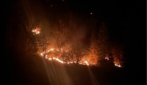 U kapluan mbrëmë nga zjarri, kjo është gjendja e maleve në Rugovë të Pejës sot