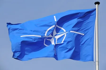 Diktatorët nuk njohin gjuhën e dialogut, ata i ndalë vetëm forca e NATO-s