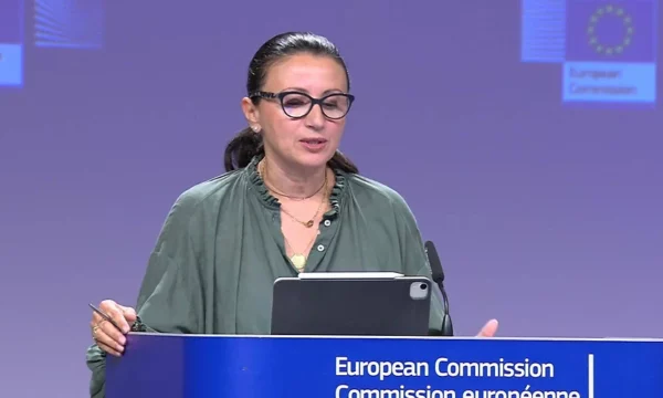 Massrali: Mbajtja e zgjedhjeve të reja për kryetar komunash do të siguronte një përfaqësim të plotë të pushtetit lokal në Veri 