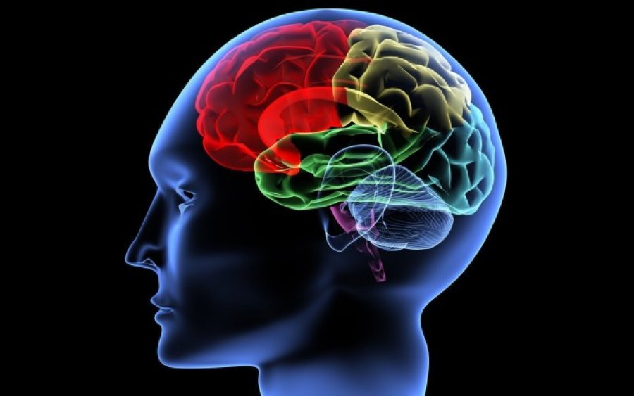 Në çfarë mënyre truri mund ta shërojë trupin tuaj?
