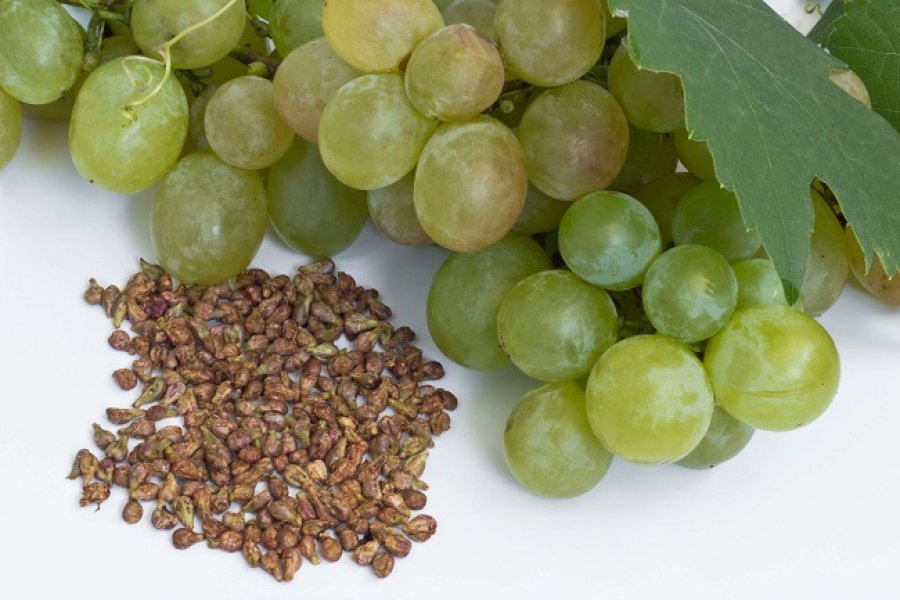 Vetitë shëruese të farave të rrushit