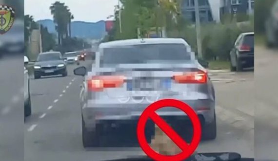 Tërhoqi zvarrë qenin me veturën e tij në rrugët e Tiranës, gjobitet shoferi