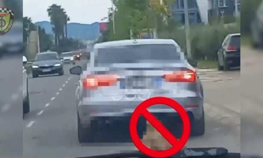 Tërhoqi zvarrë qenin me veturën e tij në rrugët e Tiranës, gjobitet shoferi