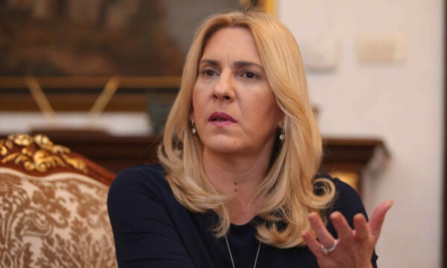 Cvijanoviq: Qëndrimi i BeH-së për anëtarësimin e Kosovës në Këshillin e Evropës duhet të jetë neutral