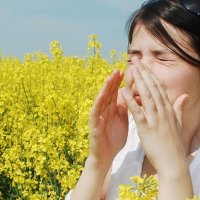 A vuani nga alergjitë e pranverës?