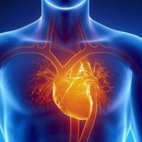 Disa shenja që tregojnë se mund të keni sëmundje të zemrës