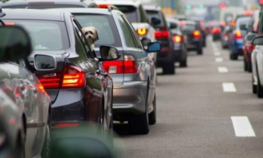MPJD paralajmëron qytetarët: Verifikoni dokumentet para udhëtimit